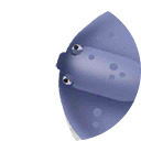 pelagic stingray