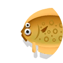 largetooth flounder
