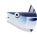 longtail tuna