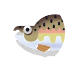 pink salmon