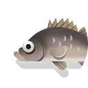 smallmouth bass
