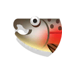 coho salmon