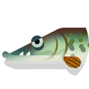 muskie