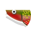 brook trout