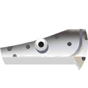 longnose gar