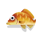 goldfish