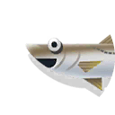 snook