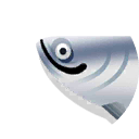 tarpon