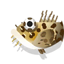 bigmouth sculpin
