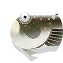 common stargazer