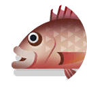 mangrove jack
