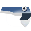 swordfish