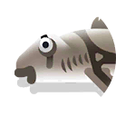 port jackson shark