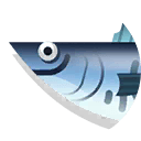 spanish mackerel