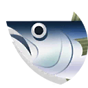 albacore