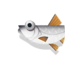 roach