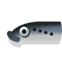 lamprey