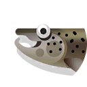scotish salmon