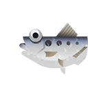 twaite shad