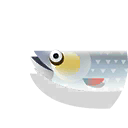 bambusa