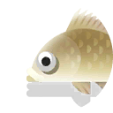 malayan leaffish