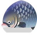 giant siamese