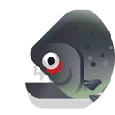 redeye piranha
