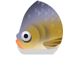 pacu