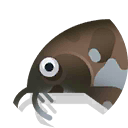rock-bacu
