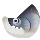 arapaima