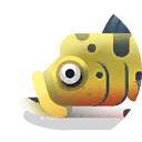 peacock bass