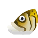 tucunaré