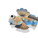 mudskipper