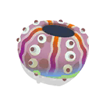 urchin shell