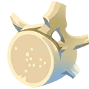 whale bone