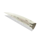 walrus tusk