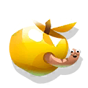 golden apple
