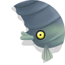 barreltail