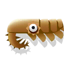Peytoia