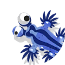 blue sea dragon