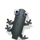 great crested newt
