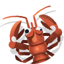 signal crayfish