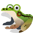 green paddy frog