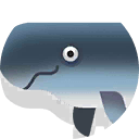 irrawady dolphin