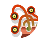 shrimpster