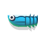 Anglaspis