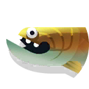 Gooloogongia