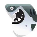 Great white shark