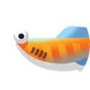 Haikouichthys
