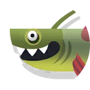 Xenacanthus